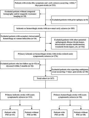 Risk of Post-stroke Epilepsy Following Stroke-Associated Acute Symptomatic Seizures